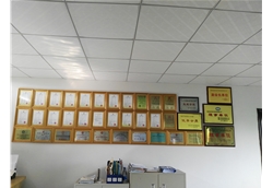 藍(lán)冠榮譽(yù)墻