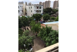 藍(lán)冠辦公大院俯視圖